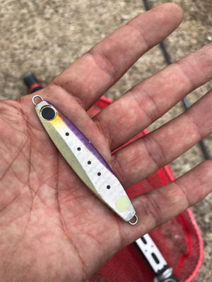 太陽に吠えろ、ザ、デイシーバス