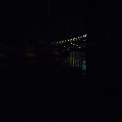 久々の1日1匹以上