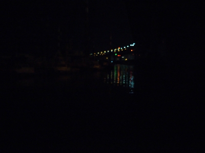 久々の1日1匹以上