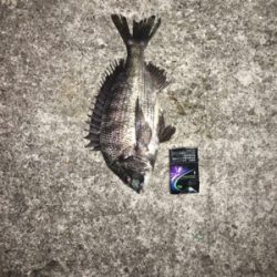 アジングからの