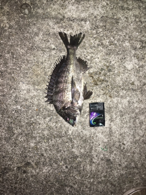 アジングからの