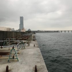 黒鯛釣りは楽しい！