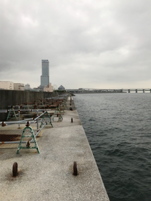 黒鯛釣りは楽しい！