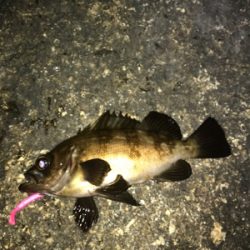 雨の前にメバリング