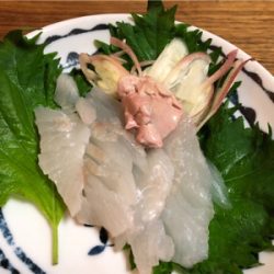 五目達成!!…ショアジグ釣果未達成(T . T)