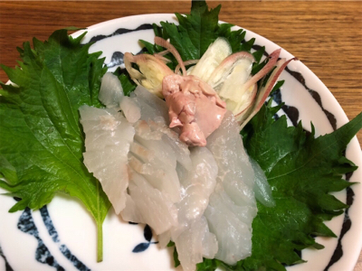 五目達成!!…ショアジグ釣果未達成(T . T)