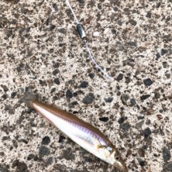 雨上がりのキス