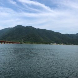 シーバス狙いに短時間勝負してきました