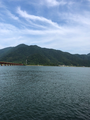 シーバス狙いに短時間勝負してきました