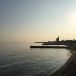 ホームエギング