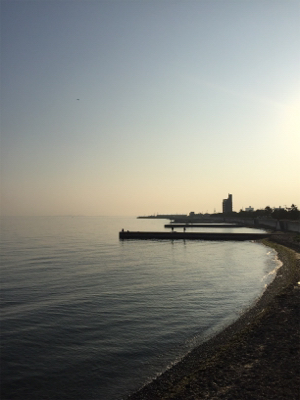 ホームエギング