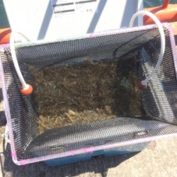 水潮だとこんなもん?