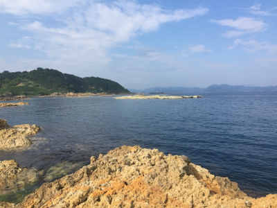 アジ&ロックフィッシュ