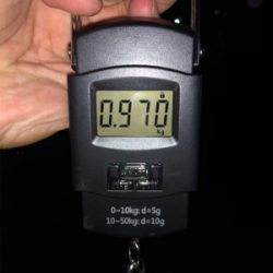 オクトパッシング