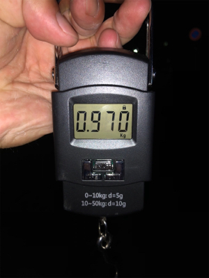 オクトパッシング