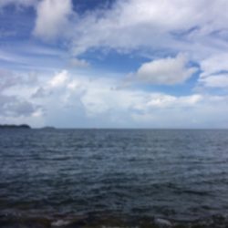 絶対に釣らなければならない獲物が底にはいる