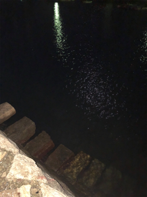 ロックフィッシュ