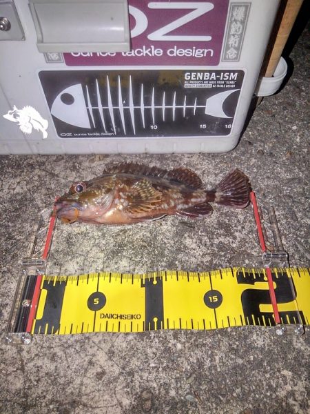 輪ゴムワームに填まってます‼️