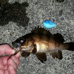 ビッグファイト