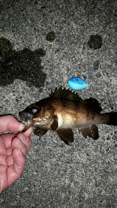 ビッグファイト