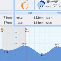 VJ16　クロ金でシーバス