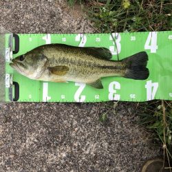 ジョイクロ 128テスト