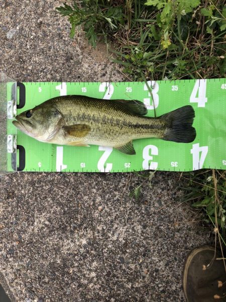 ジョイクロ 128テスト