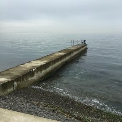 雨上がり決死隊