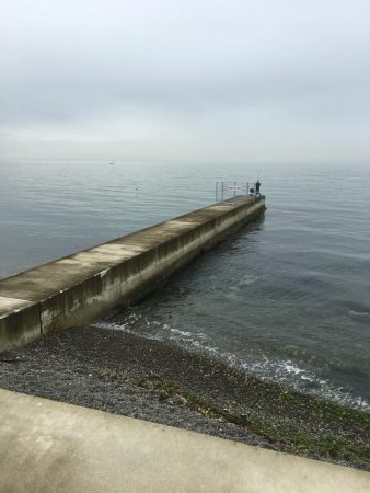 雨上がり決死隊