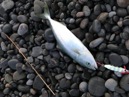 煙樹ヶ浜 ショアジギング