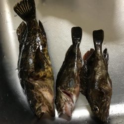 息子と休日釣行