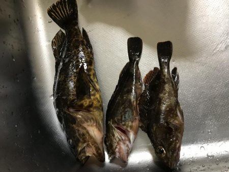 息子と休日釣行