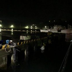 雨の中でナイトアジング