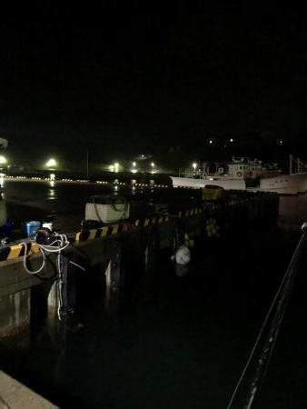 雨の中でナイトアジング