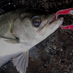 大潮の甲子園浜　６本