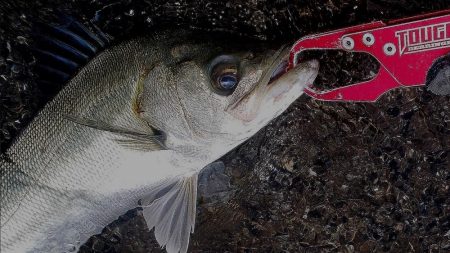 大潮の甲子園浜　６本