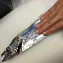 やっぱ師匠はすごいです