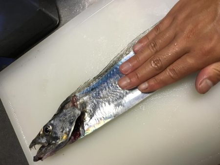 やっぱ師匠はすごいです