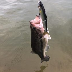 ドリームレイク釣行