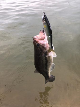 ドリームレイク釣行