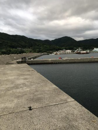 アジ釣り④今朝は一人ぼっち