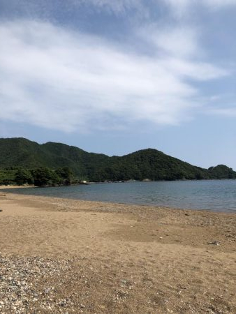 夏の日差しの中