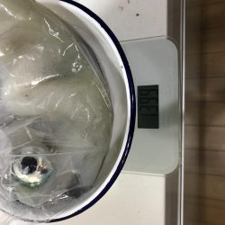 王様降臨！ 短時間エギング