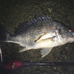 赴任先でチニング♫