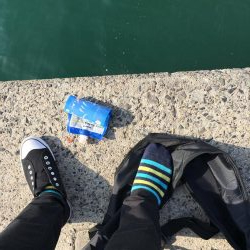 ニードルフィッシュ