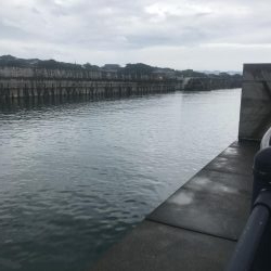 あいにくの雨です