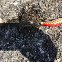 ショアジギング