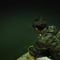 広島に引っ越して初めてのエギング