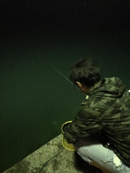 広島に引っ越して初めてのエギング