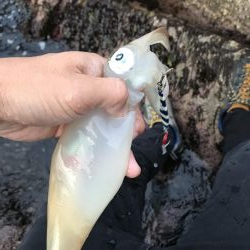 夕方ショアジギング